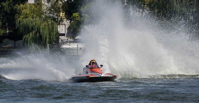 韧的意志赢 韧的意志赢