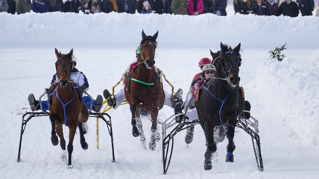 这种调整在 这种调整在